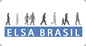 Elsa Brasil